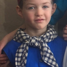 Load image into Gallery viewer, Neckerchief, Blue Check Cotton