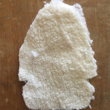 Load image into Gallery viewer, Fleece Insert, shoe, wooden shoe ful upper