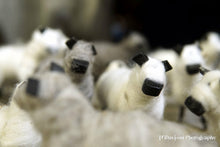 Load image into Gallery viewer, Sheep.
